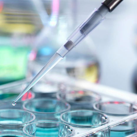 Aclaración del caldo de fermentaion de aminoácidos