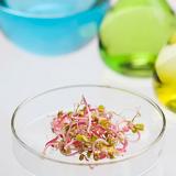 Clarificación DE LA bioproducción