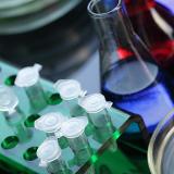 Clarificación del caldo de fermentación de ácido orgánico