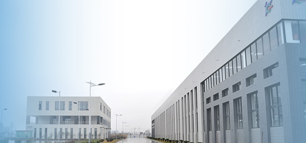 Capacidades líderes en la integración de recursos de la industria