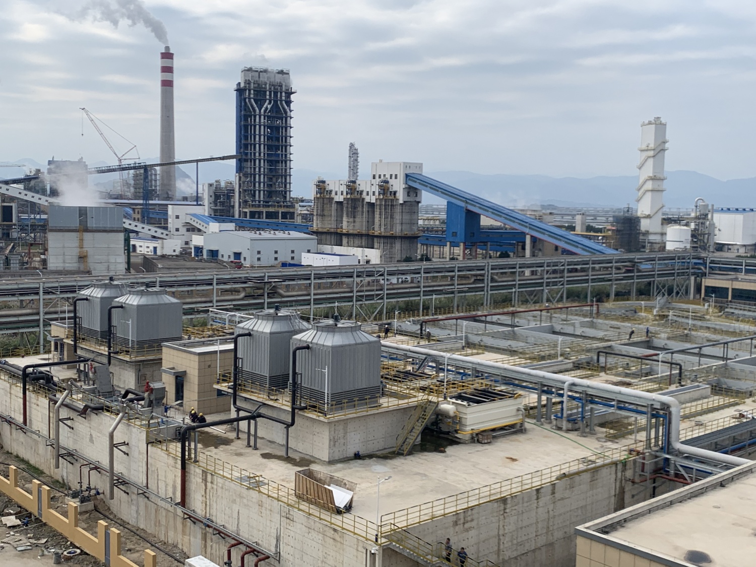 Bioenergy - 翻译中...